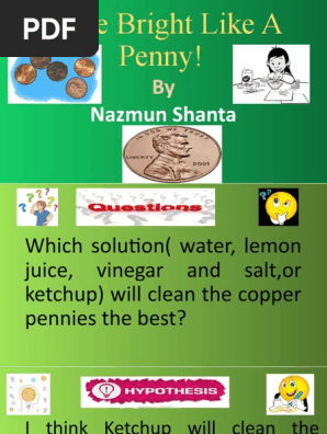 science fair project