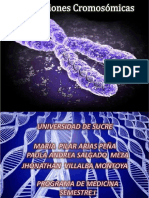 PDF Baleadas DD