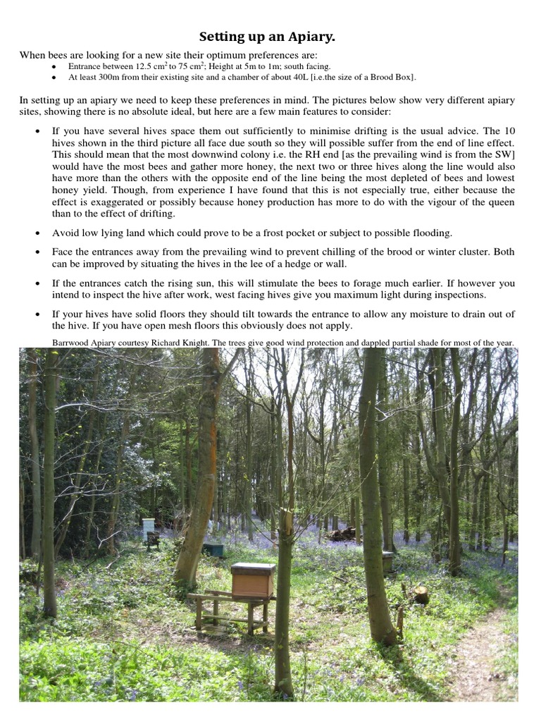 Setting Up An Apiary 121120124000 Pdf Beehive Bees