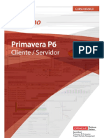 Primavera P6 EPPM R16 Basico Cliente-Servidor Portugues V2
