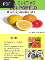 Características y Cultivo del Matasano | PDF | Arboles | Alimentos