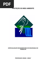 apostilasproteoambiental distancia