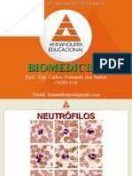 Granulócitos Polimorfonucleares - Aula 8