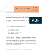 PCI-Perfil de Capacidad Interna