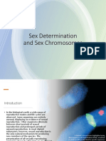 Handout - Sex Determination