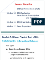 NA Structure - Central Dogma