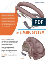 VisibleBody Limbic System eBook Tour June2021