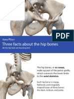 VisibleBody Hip Bones eBook 2017