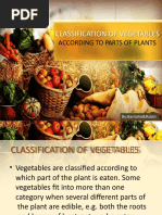 Vegetable Classification Categories | PDF | Vegetables | Fruit