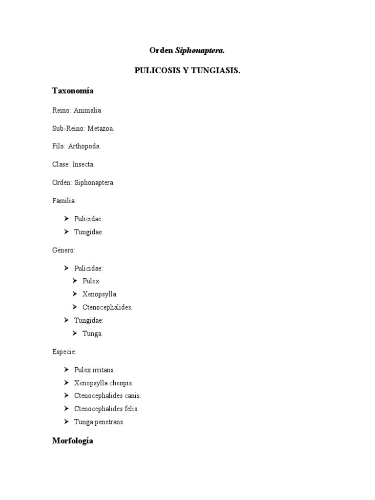 Morfología y Patología de Niguas | PDF | Insectos | Zoología