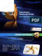 Gestion Del Riesgo