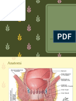 Hemorroid Interna Dan Externa