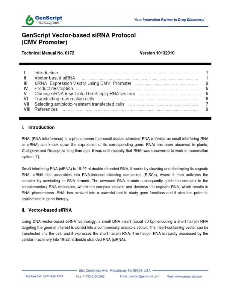 GenScript siRNA Vector Protocol Guide | PDF | Small Interfering Rna ...