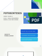 Fotosintesis