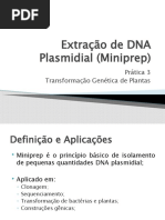 Download Extrao de DNA Plasmidial by Christiane Noronha Fernandes SN51795133 doc pdf