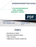 Chandra Sheikhar Senior Secondary Public School: Project File On Mathematics Topic: Algebra Sub Topic: Matrix