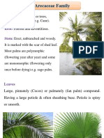 Arecaceae Family: Habit