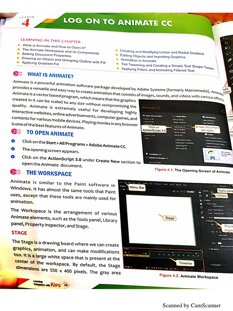 Animate Chapter | PDF