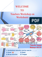 Welcome TO Teachers Workshop On Worksheets