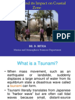 Tsunami Impact on Coastal Zones