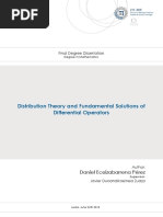 GAL Daniel Eceizabarrena - Distribution Theory and Fundamental Solutions of Differential Operators