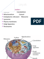 4-Komponen Sel (K13)