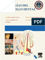 Patologías Del Desarrollo Dental