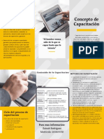 Brochure - Conceptos Sobre Laapacitacion