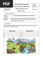 1 GUIA DE CIENCIAS 2021 Niveles de Organizaciòn Externa de Los Seres Vivos