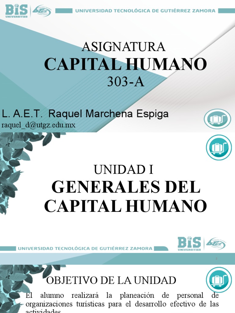 TEMA 2 Estructura y Funciones Del Departamento de Capital Humano | PDF