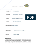 Indices de Vegetacion