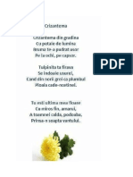 Crizantema 15.09