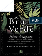 La Bruja Verde - Arin Murphy-Hiscock