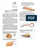 Gua #6 Nutricin en los animales