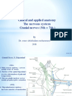 Sheet 9 (Cranial Nerves 5-7 Edited)