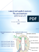 Sheet 8 (1&2 Cranial Nerves)