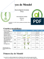 Leyes de Mendel