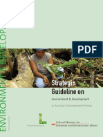 EN Strategic Guidelines Environment