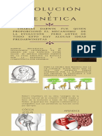 Evolución y Genética