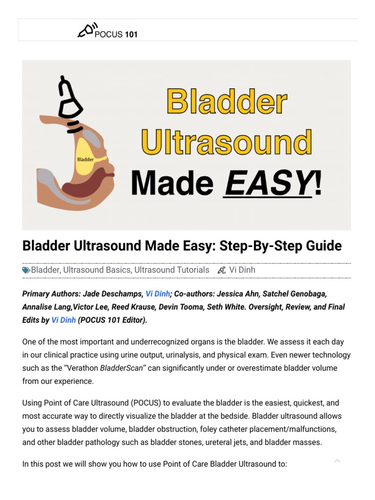 Bladder Ultrasound: Step-by-Step Guide | PDF | Urinary Bladder ...