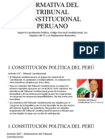 Normativa Del Tribunal Constitucional Peruano