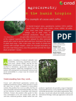 2015 Fiche13 Agroforestry GB Web