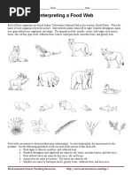 Food Web Interpretation 1 1