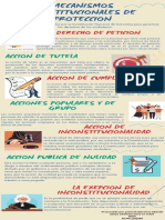 Infografia Mecanismos Constitucionales de Proteccion Janneth