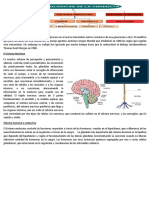 Bases Biologicas Del Psiquismo Humano