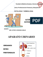 12.- Clase alteracion sistema urinario - copia