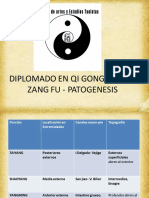 Qi Gong Clase 4 - Zang Fu y Sustancias Vitales