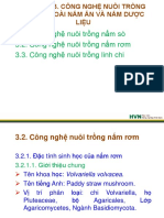 Chuong 3.2. Cong Nghe Nuoi Trong Nam Rom