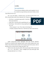 (1)Asam Nukleat, DNA RNA