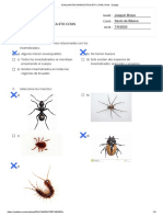 EVALUACIÓN DIAGNÓSTICA 6TO CCNN - Print - Quizizz